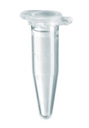 eppendorf